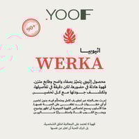 محصول وريكا