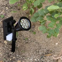 كشاف شجر يغرس بالطاقة الشمسية - ابيض~كريمي