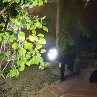 كشاف شجر يغرس بالطاقة الشمسية - ابيض~كريمي