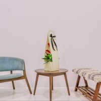 بكج إهداء SKY GARDEN مع نبتة الانتوريوم الأحمر هول...