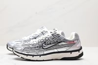 Nike P-6000 Silver