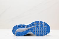 Nike Air Zoom Pegasus