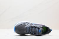 Nike Air Zoom Pegasus