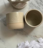 أسماء فقط
