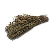 اوراق الزوفا