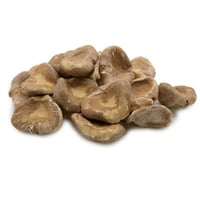 خميرة البيرة