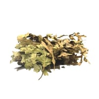 ورق الزعرور