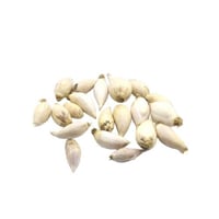 ثوم ذكر يمني.