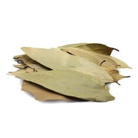 ورق الغار هندي