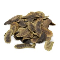 عشرق - بذور السنا مكي