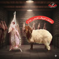 نصف خروف نعيمي جذع كبير– (15-16 كجم) يشمل اللية فق...