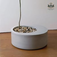 مركن للأشجار مودرن