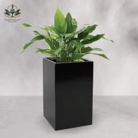 حوض مناسب لزراعة الاشجار