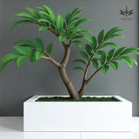 حوض لزراعة الاشجار جاهز 1م فيبر