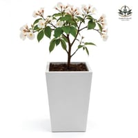 مركن للزراعة مودرن