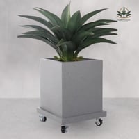 مركن بكفرات لزراعة الشجر