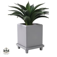 مركن جاهز للزراعة بقاعدة