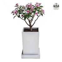 مركن للاشجار زراعة متنقل