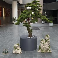 مركن فخم للزراعة