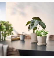 IKEA (3)10