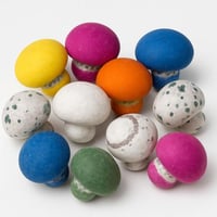 دراجية مآشروم مشكلة