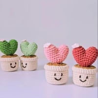 كورشيت صبار للمبتدئين