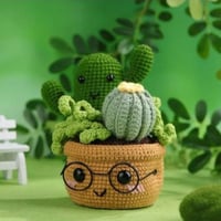 كورشيت صبار