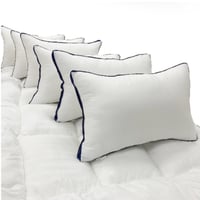 بكج 10 مخدات بلاتينوم 900 غرام