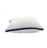 بكج 10 مخدات بلاتينوم 900 غرام