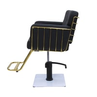 بلاك كرسي تجميل متعدد الاستخدامات BX-3075-2