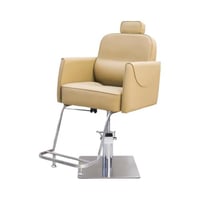 كرسي تجميل بيج 6029F