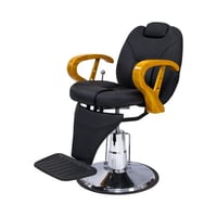 جلوبال ستار كرسي تجميل متعدد الاستخدامات BX-1006A