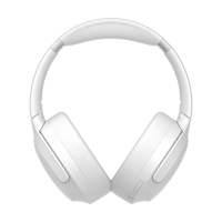 HONOR CHOICE VZ Headphones