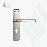 فضي