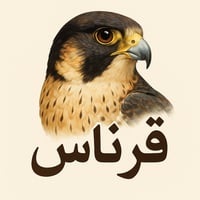 store avatar