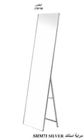 170×50 SILVER