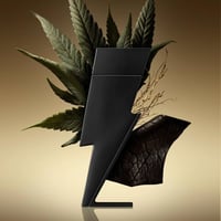 كارولينا هيريرا باد بوي لو بريفيوم