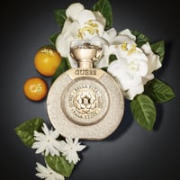 قيس بيلا فيتا باراديسو