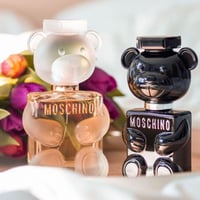 مسكينو توي بوي