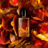 جورجيو ارماني سي انتنس