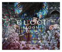 قوتشي بلوم انتنس