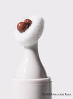 روج ريفاي Rosa