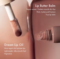 لب اويل من سمر فرايديز