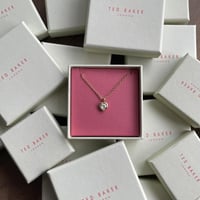 عقد تيد بيكر مع بكج افنون المميز