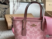 Coach mini bag