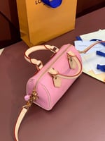 Lv speedy mini bag