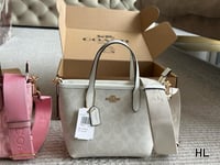 Coach mini bag