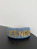 Fendi bag #1