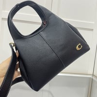 Coach lana bag