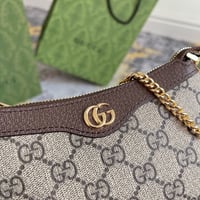Gucci bag